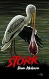 Stork