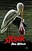 Stork