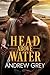 Head Above Water by Andrew  Grey