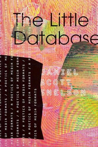 The Little Database: A Poetics of Media Formats (Electronic Mediations) (Volume 64)