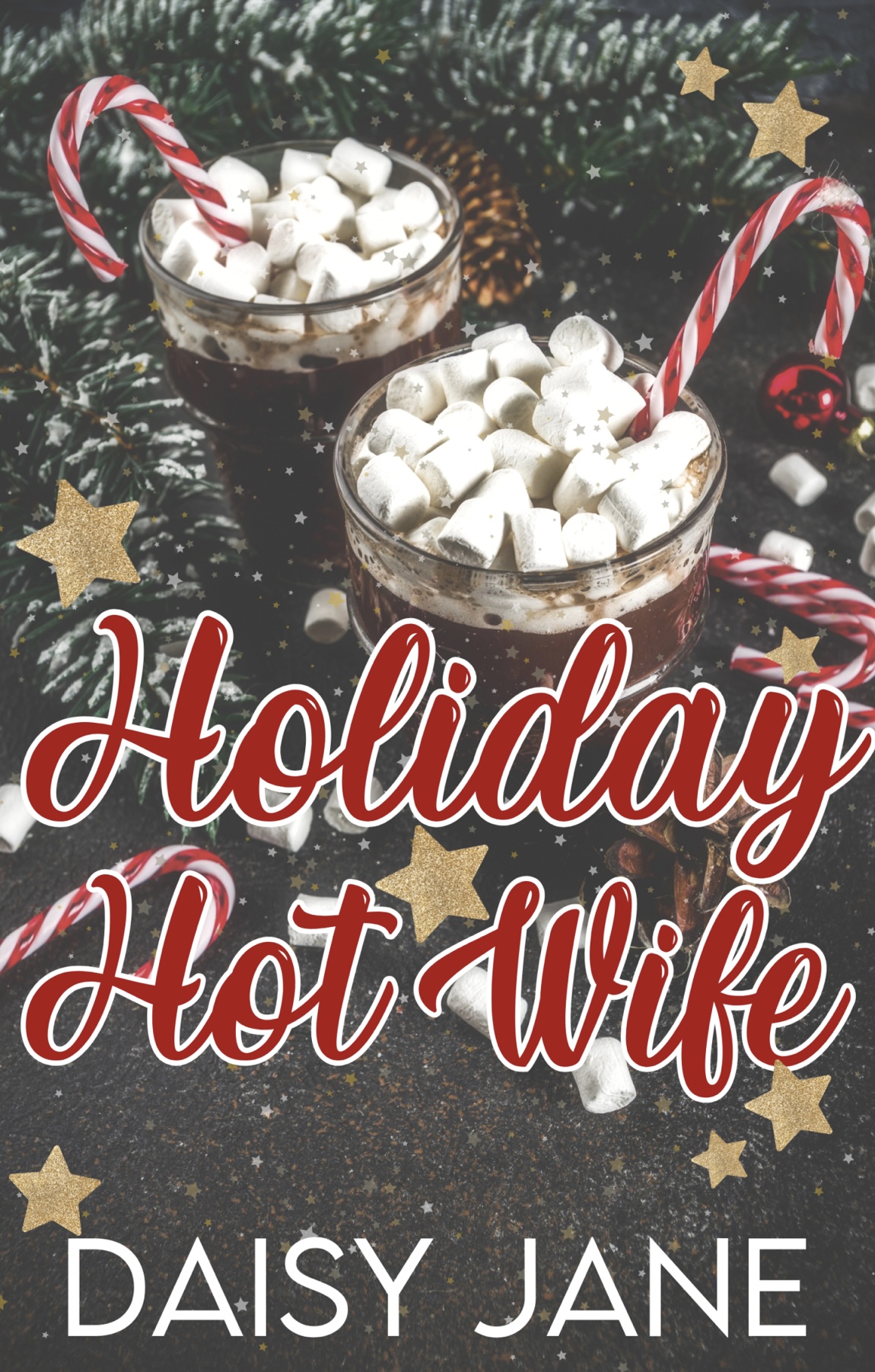 Holiday Hot Wife (Unknown Binding)
