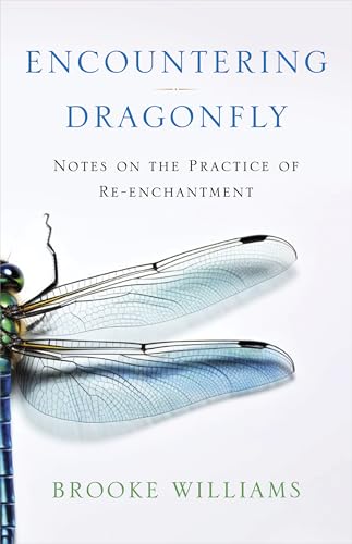 Encountering Dragonfly: Notes on the Practice of Re-enchantment (Kindle Edition)