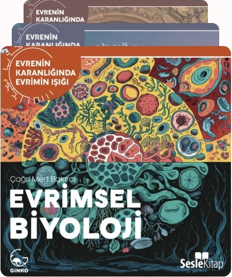Evrenin Karanlığında Evrimin Işığı