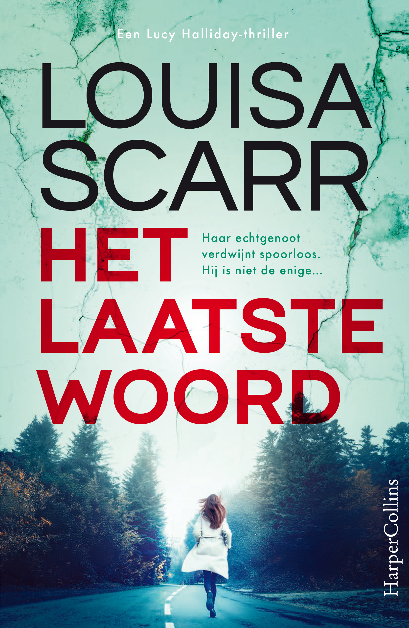 Het laatste woord (Lucy Halliday #1)