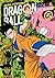 Dragon Ball Color: Saga Majin Boo, #5 (Dragon Ball Fullcolor, #31)