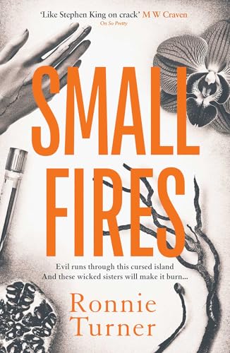 Small Fires (Paperback)