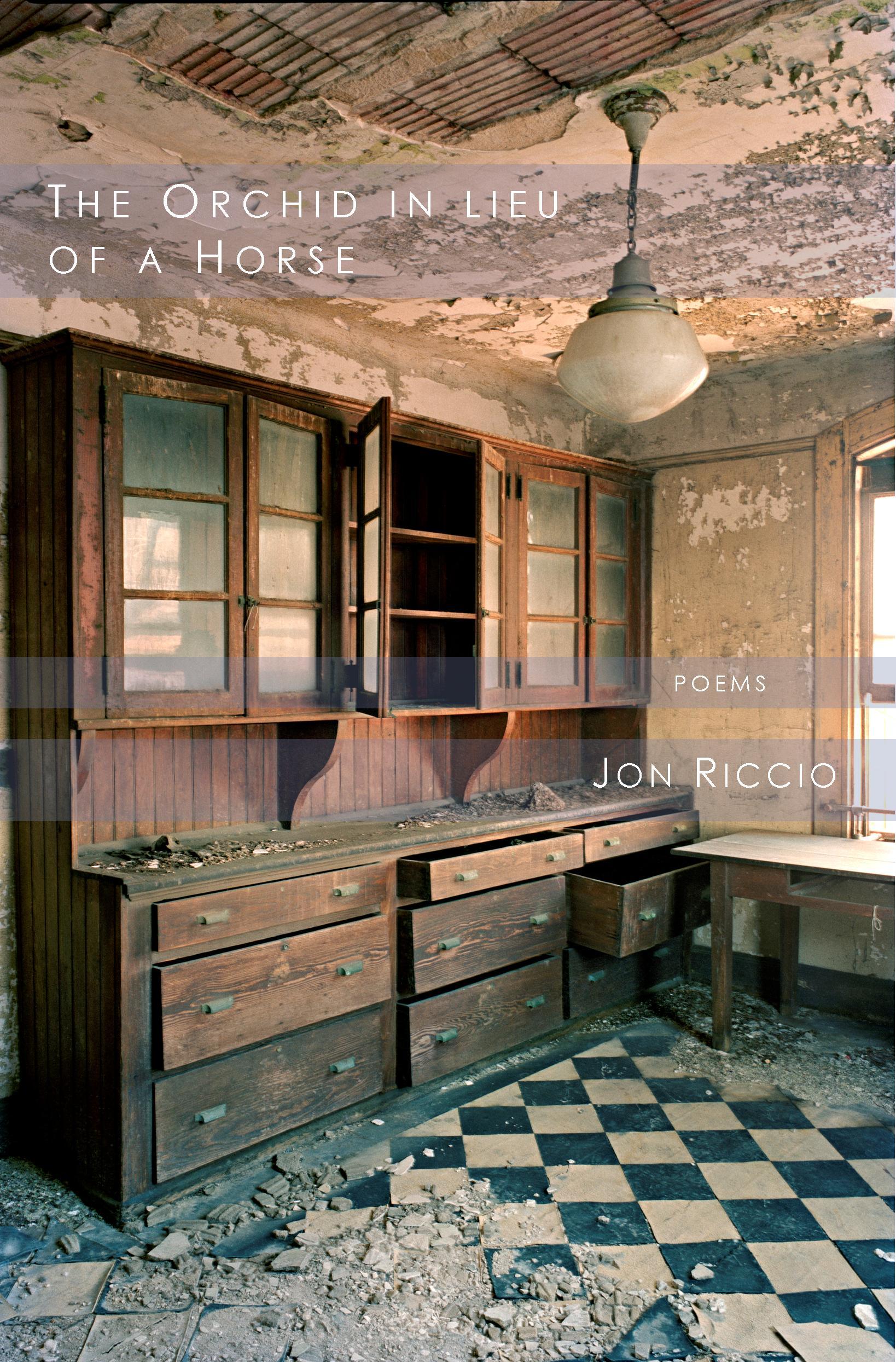 The Orchid in Lieu of a Horse (Robin Becker Series, #31)