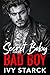 Secret Baby for my Bad Boy
