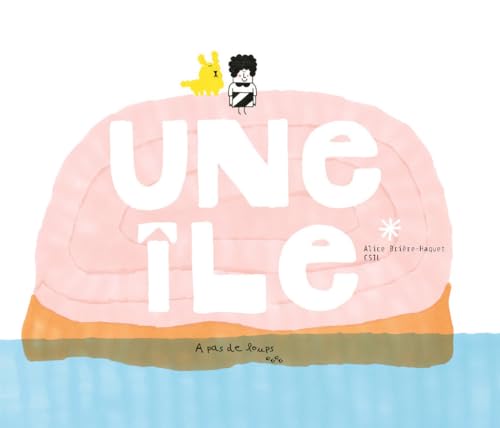 Une île (Paperback)