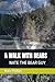 A WALK WITH BEARS