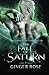 The Fall of Saturn: The Vaida Love Chronicles Book Two