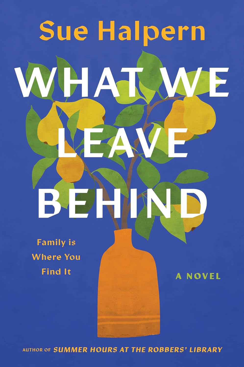 What We Leave Behind (Paperback)