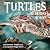 Turtles Heading Home! by Liza Ketchum