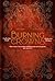 Burning Crowns (Twin Crowns, #3)