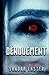 Denouement (Incarnate Series)