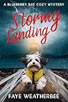 Stormy Landing: A...