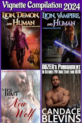 Vignette Compilation 2024 (Kindle Edition)