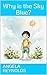 Why is the Sky Blue? by Angela Reynolds