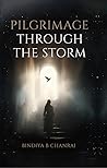 Pilgrimage Through the Storm