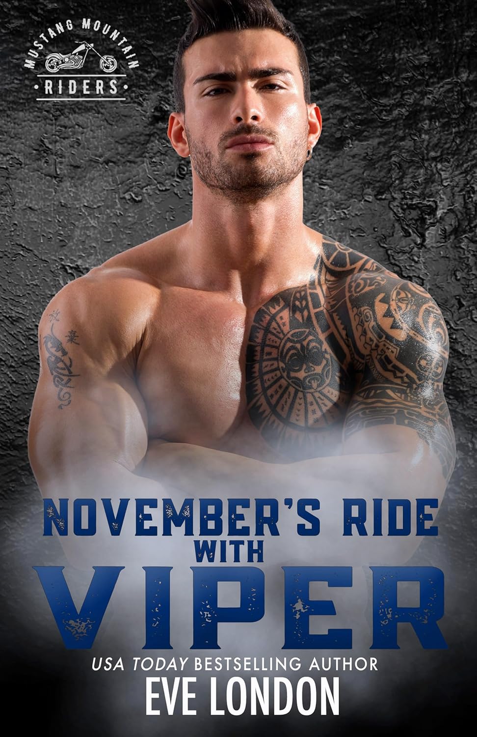 November's Ride with Viper (Mustang Mountain Riders, #11)