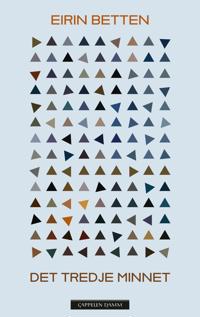 Det tredje minnet (Hardcover)