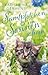 Samtpfötchen im Sonnenschein: Roman | Ein sommerlicher Roman für alle Katzenfans (German Edition)