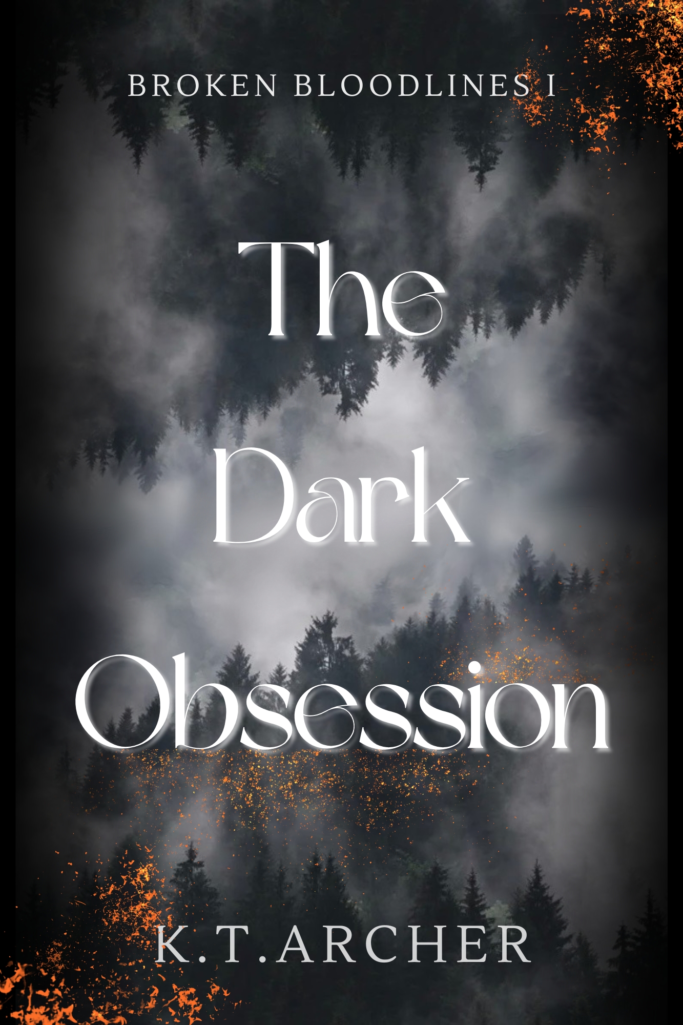 The Dark Obsession (Paperback)