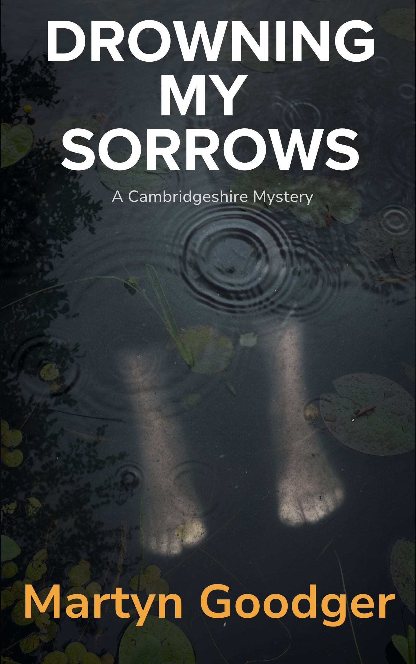 Drowning My Sorrows: A Cambridgeshire Mystery (Alan Gadd Cambridgeshire Legal Mysteries Book 2)