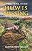 Huw is Missing: A Welsh Rur...