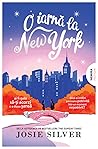 O iarnă la New York