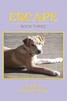 Escape by Alison Bellringer