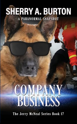Company Business: Book 17 in The Jerry McNeal Series (Paperback)
