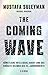 The Coming Wave: Künstliche Intelligenz, Macht und das größte Dilemma des 21. Jahrhunderts