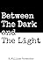 Between The Dark and The Light by R. William Parmenter