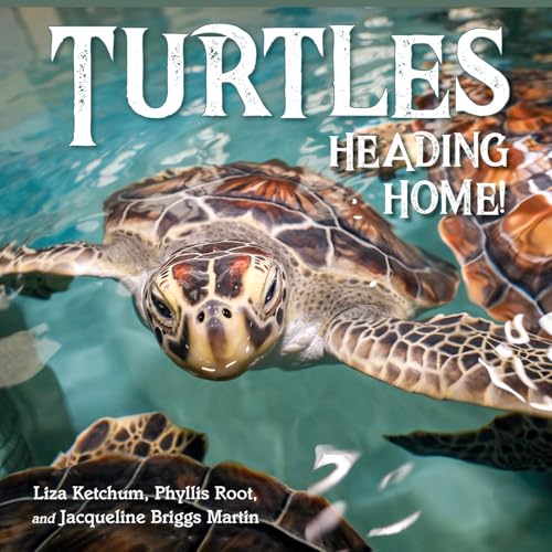 Turtles Heading Home! (Kindle Edition)