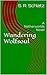 Wandering Wolfsoul by S. R. Schletz