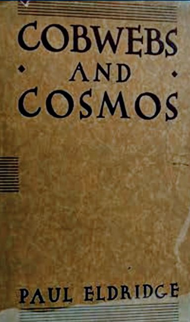 Cobwebs and Cosmos (Hardcover)