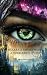 Nixara's Awakening: A Forbi...