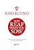Riso Buono. You reap what you sow by Giunti Editore