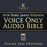 Voice Only Audio ...