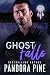 Ghost Falls (Haunted Souls #22)