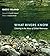 What Rivers Know: Listening to the Voices of Global Waterways
