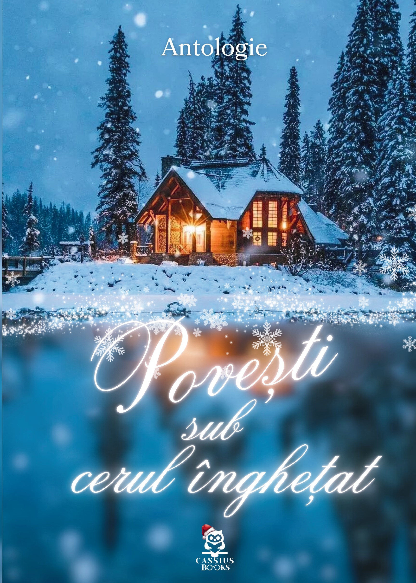 Povești sub cerul înghețat (Paperback)