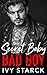Secret Baby for my Bad Boy (Redstone Bad Boys)