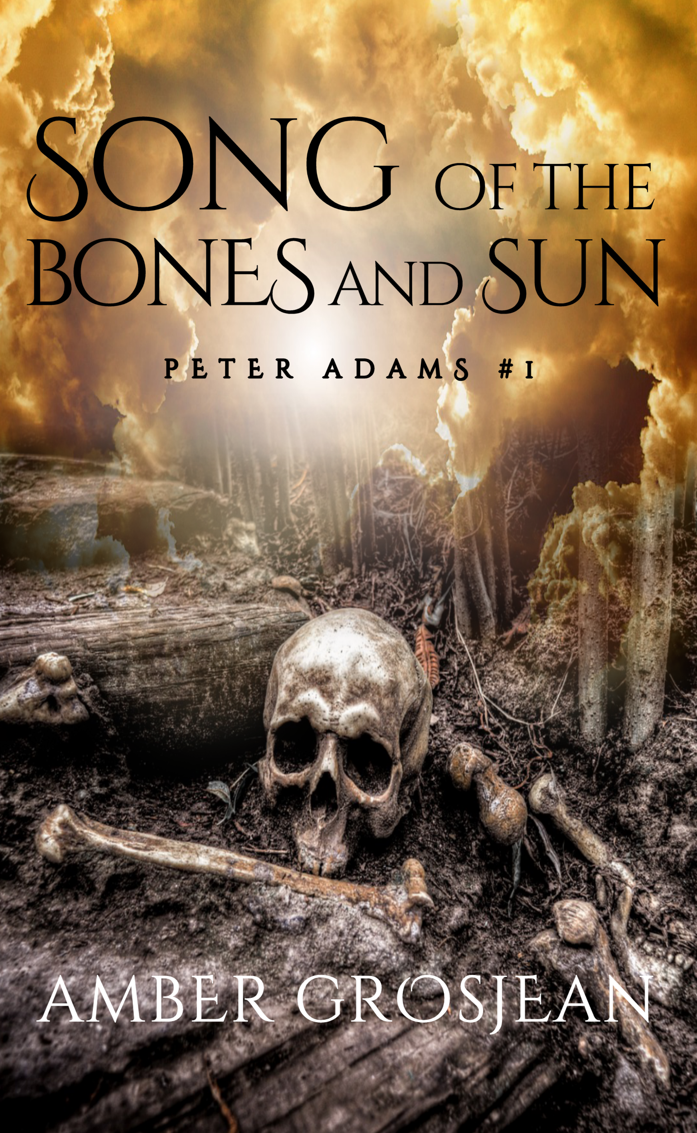 Song of the Bones and Sun (Peter Adams, #1)