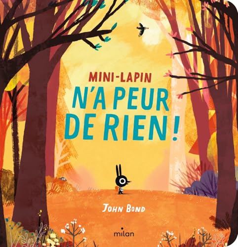 Mini-Lapin n'a peur de rien (tout-carton)