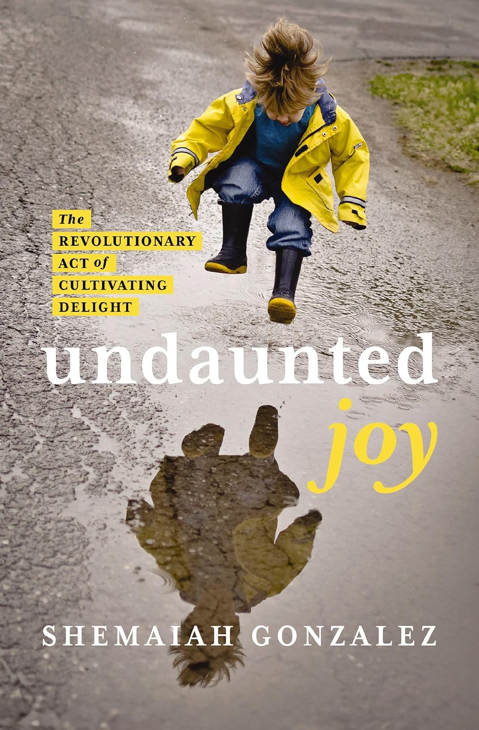 Undaunted Joy: The Revolutionary Act of Cultivating Delight (Paperback)