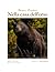Nella casa dell’orso (Scritture e Visioni a cura di Stefano D... by Bruce Hunter
