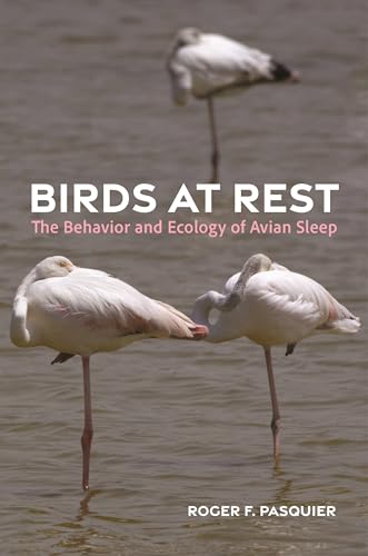 Birds at Rest: The Behavior and Ecology of Avian Sleep (Hardcover)