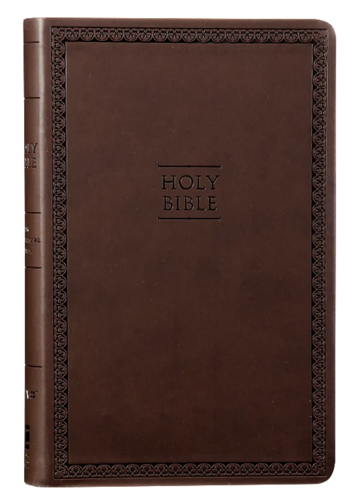 The Holy Bible NIV Version
